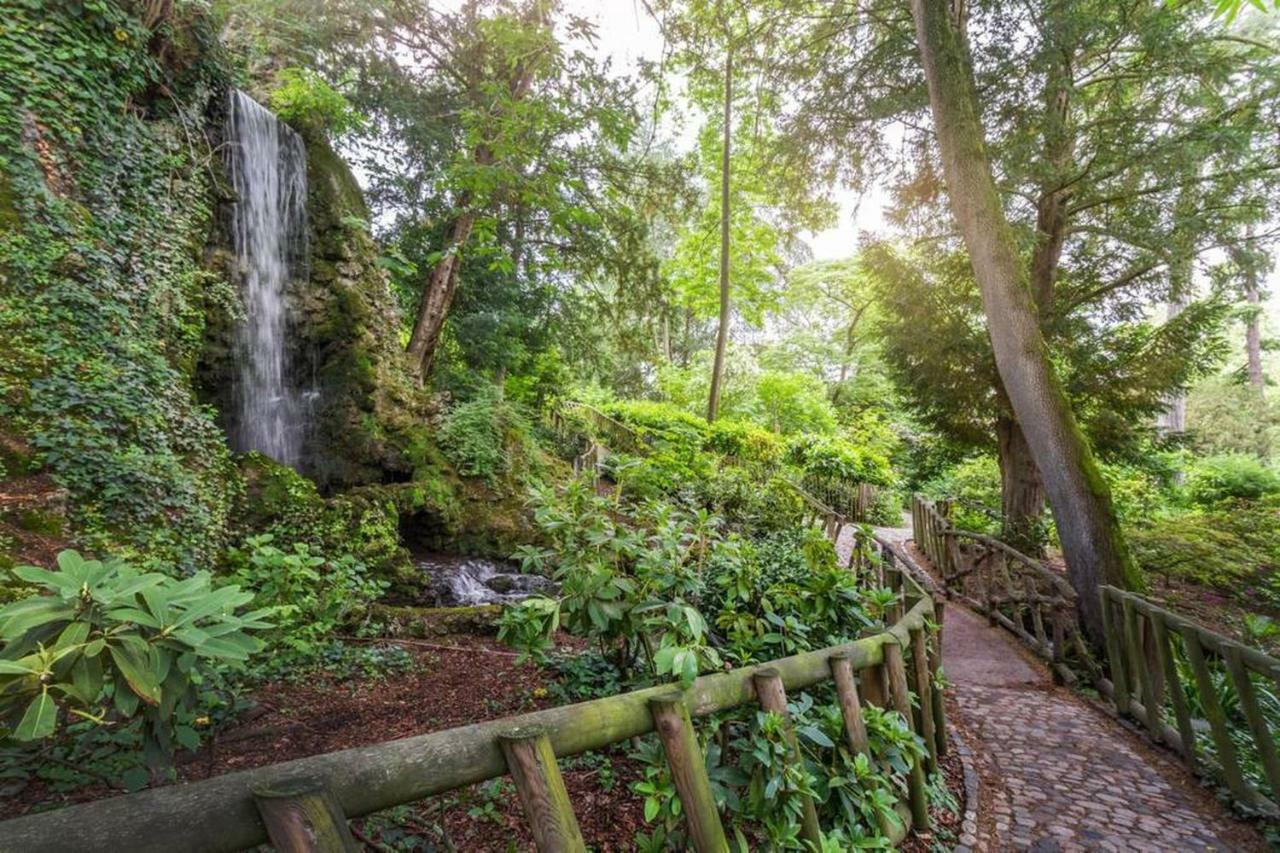 Calme appart rénové Jardin des Plantes Busca Tolosa Esterno foto